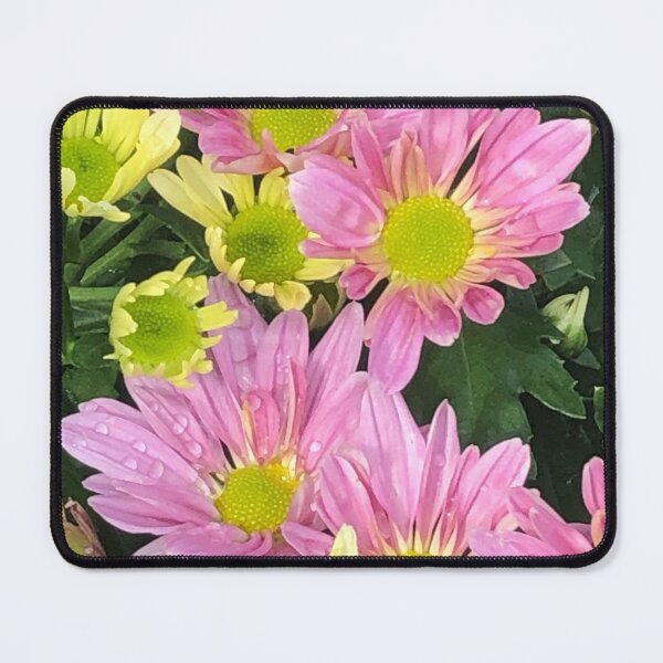 Item preview, Dewy Daisy designed and sold by 5x5 Adventures .