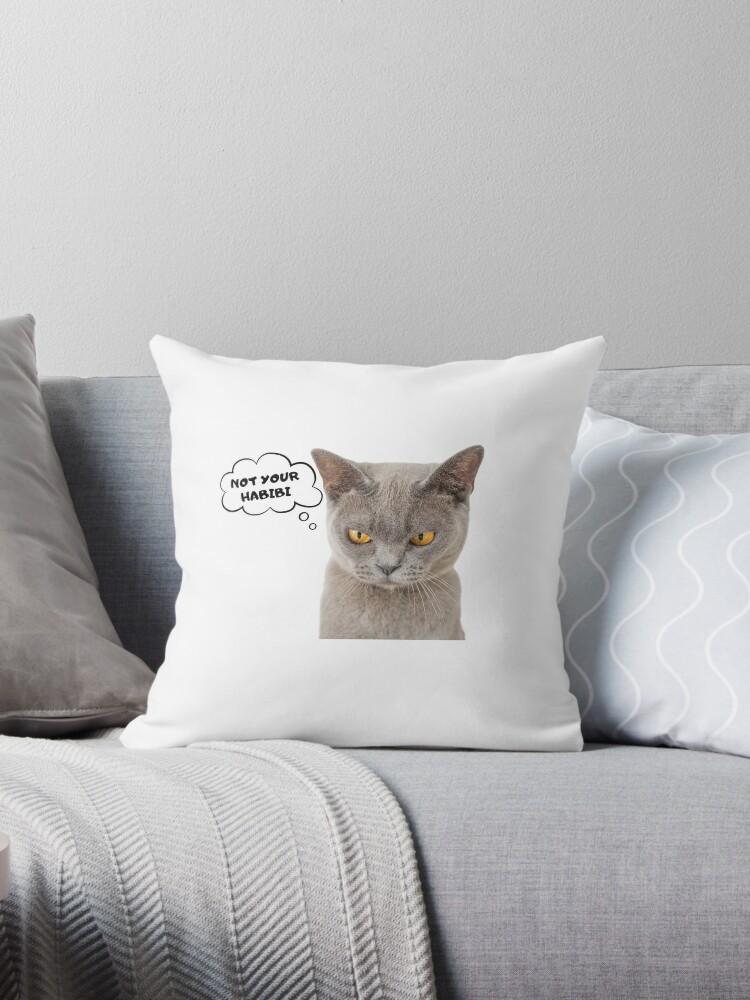 Cute cat clearance fluffy cushion pillow