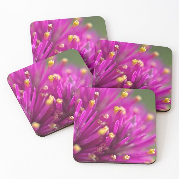 Item preview, Pink spikey globe amaranth flower designed and sold by Kasadams.