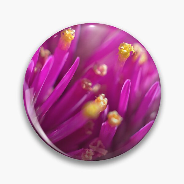 Item preview, Pink spikey globe amaranth flower designed and sold by Kasadams.