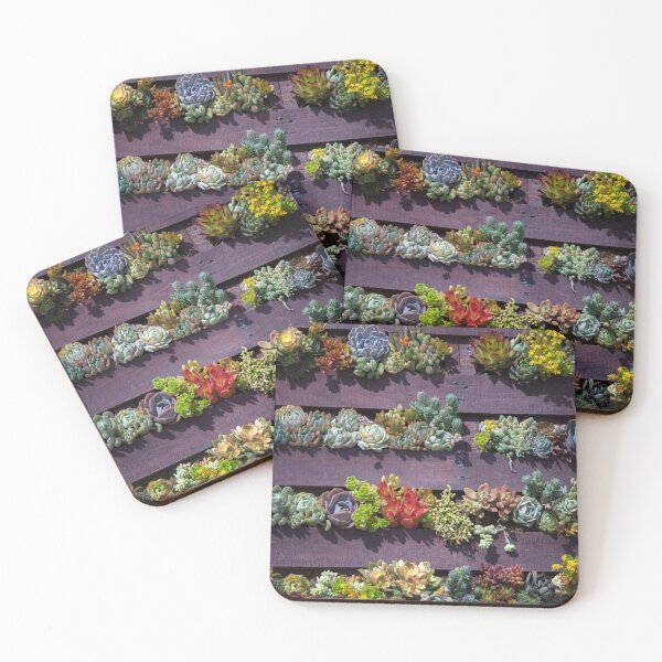 Item preview, succulents designed and sold by Diane Trimble.