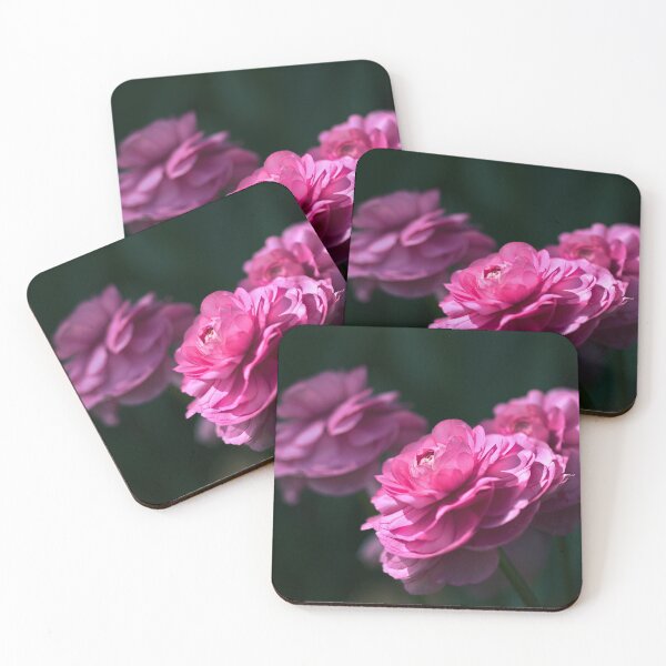 Item preview, Pink ranunculi flower, spring beauty designed and sold by Kasadams.