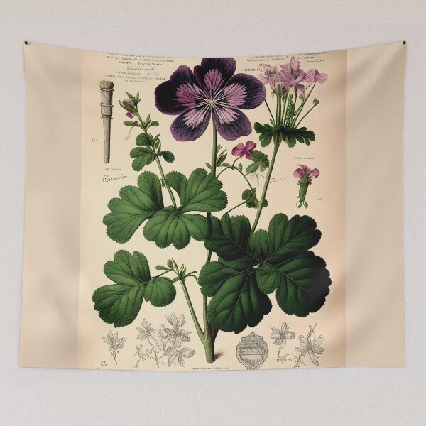 Item preview, The cranesbill (Geranium sylvaticum) designed and sold by digitalbrosse.
