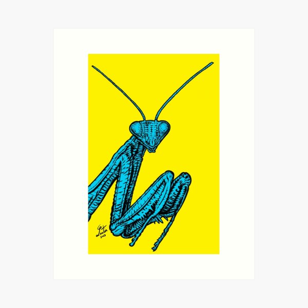 Item preview, PRAYING MANTIS .1 designed and sold by lautir.