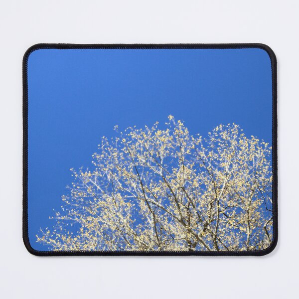 Item preview, Budding Tree on beautiful Blue designed and sold by Kasadams.