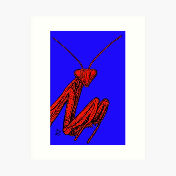 Item preview, PRAYING MANTIS .2 designed and sold by lautir.