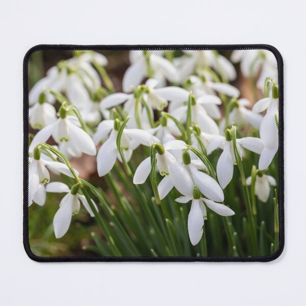 Item preview, Snowdrops designed and sold by Tanya C  Smith.