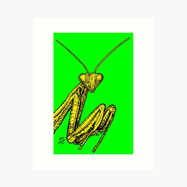 Item preview, PRAYING MANTIS .3 designed and sold by lautir.