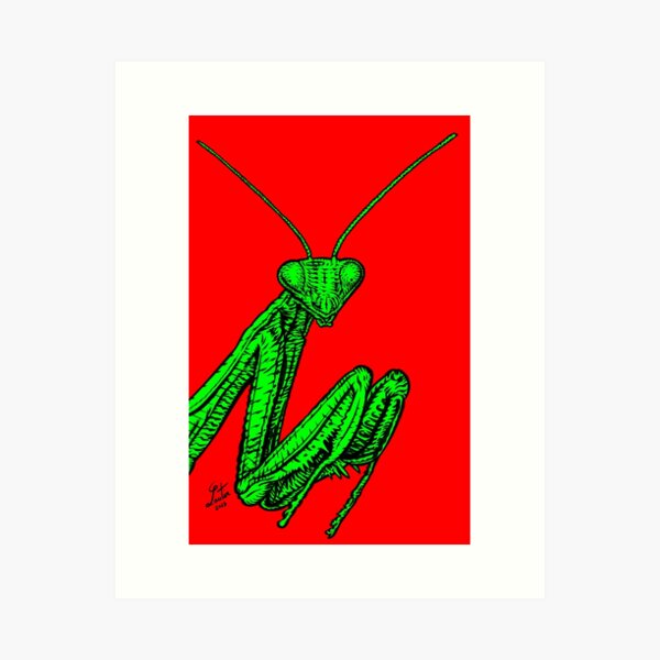 Item preview, PRAYING MANTIS .4 designed and sold by lautir.