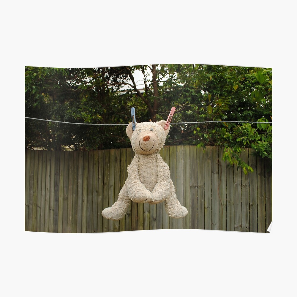 teddy bear hanging net