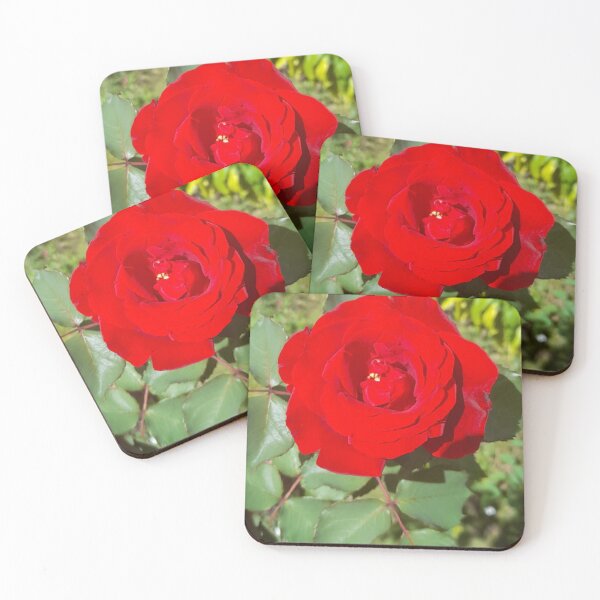 Item preview, Beautiful Red Rose is absolutely amazing.  designed and sold by Tiannalaw.