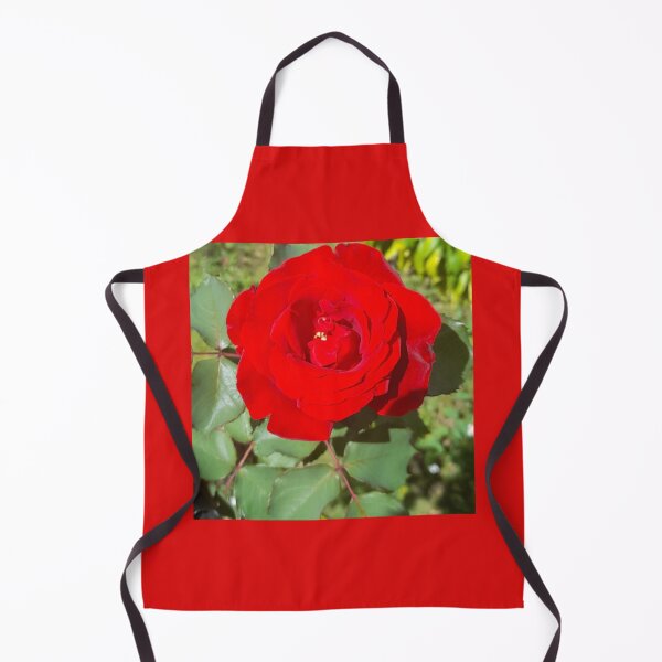Item preview, Beautiful Red Rose is absolutely amazing. designed and sold by Tiannalaw.