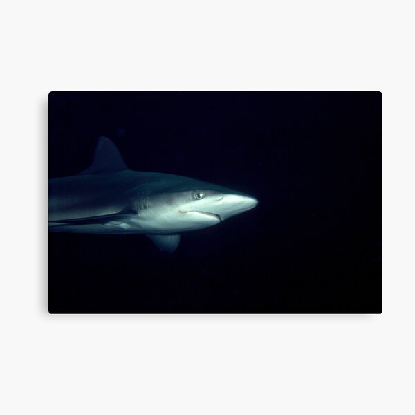 Whaler Canvas Print