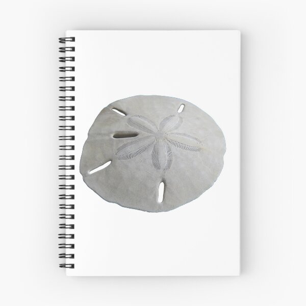 Item preview, Sand Dollar Beach Theme designed and sold by BeachBumFamily.