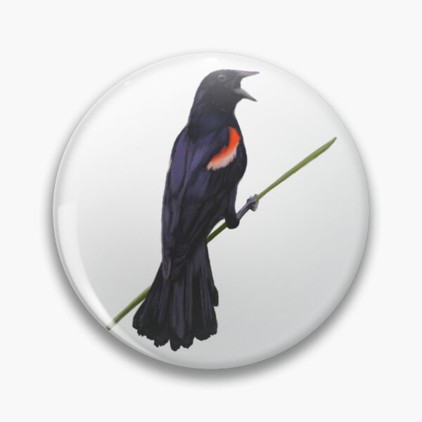 Item preview, Red-winged Blackbird Illustration designed and sold by ModelOrganism.