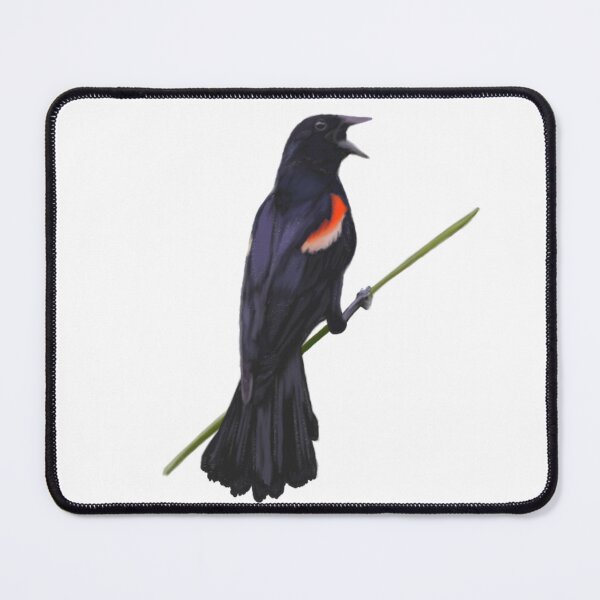 Item preview, Red-winged Blackbird Illustration designed and sold by ModelOrganism.