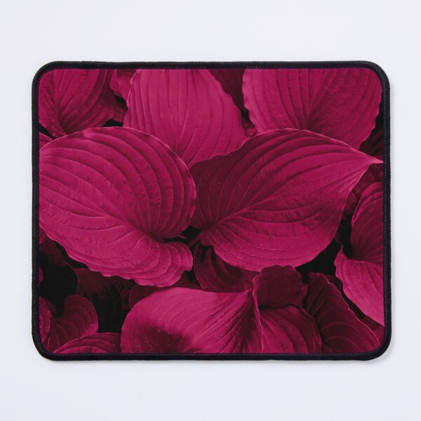 Item preview, viva magenta designed and sold by chourouk shop ★★★★★.