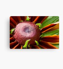 red and green Canvas Print