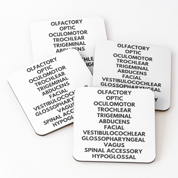 Item preview, Cranial Nerves - Neurons, Biopsychology, Neuroscience, Psychology, Mental Health, Neuroanatomy designed and sold by jadedscientist.