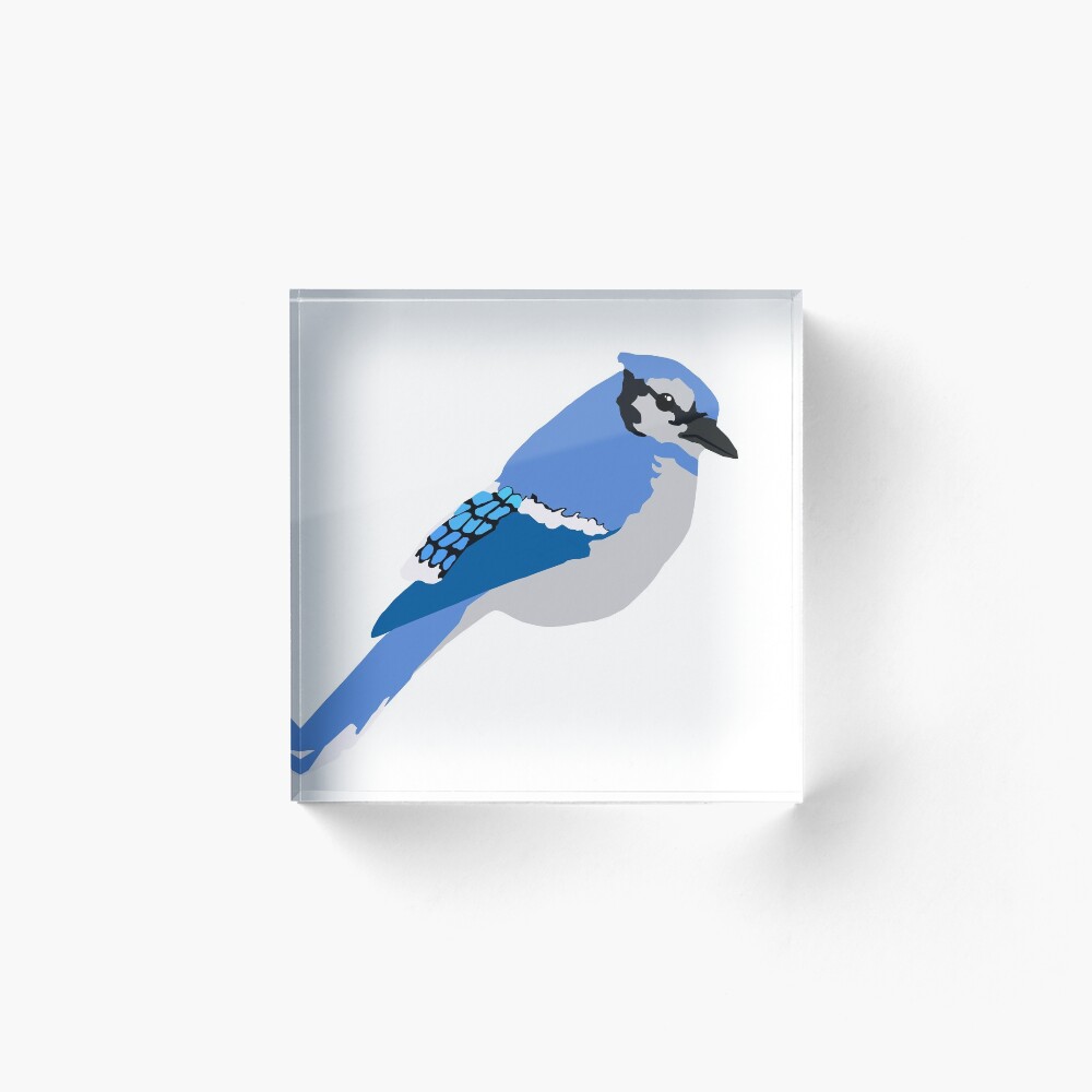 Blue Jay On White Background Art Board Print By Designcardinal Redbubble