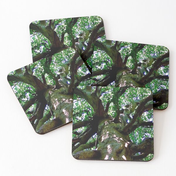 Item preview, Under the old  beech tree CapeCod designed and sold by Susan Gallup.
