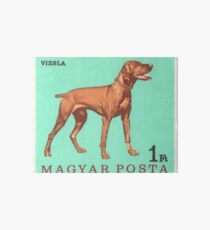1967 Hungary Vizsla Dog Postage Stamp Art Board