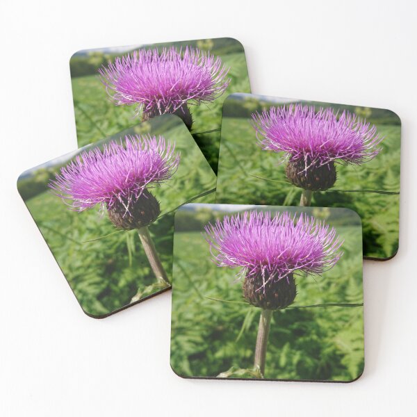 Item preview, Scotland Trip Notes wild camp spiral notebook designed and sold by Justeecat.