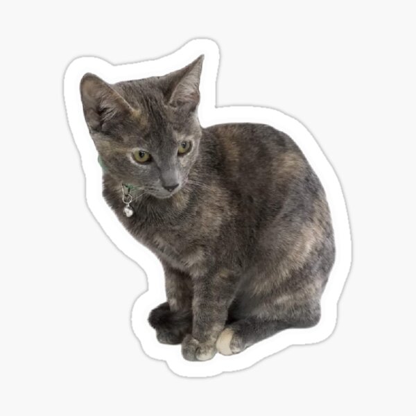 Item preview, Blue torti kitten designed and sold by Jinxed Echo.
