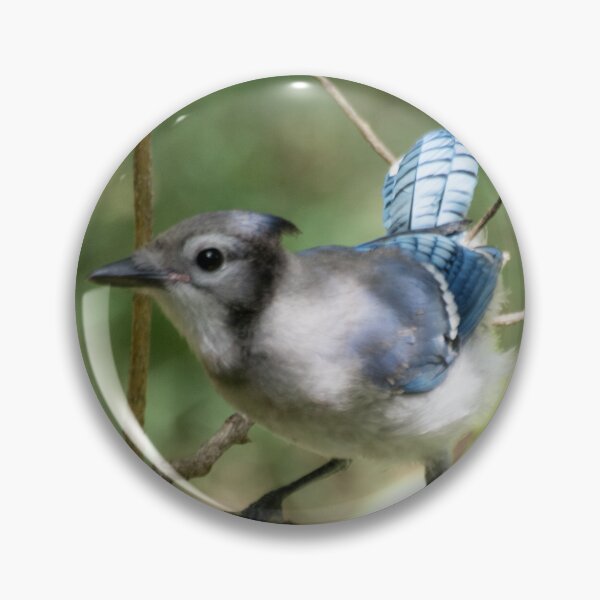 Item preview, Spring Discovery Blue-Jay designed and sold by VeganBear.