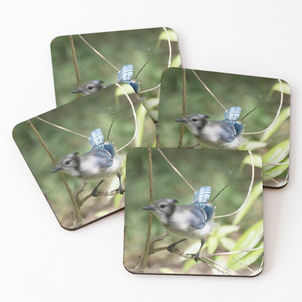 Item preview, Spring Discovery Blue-Jay designed and sold by VeganBear.