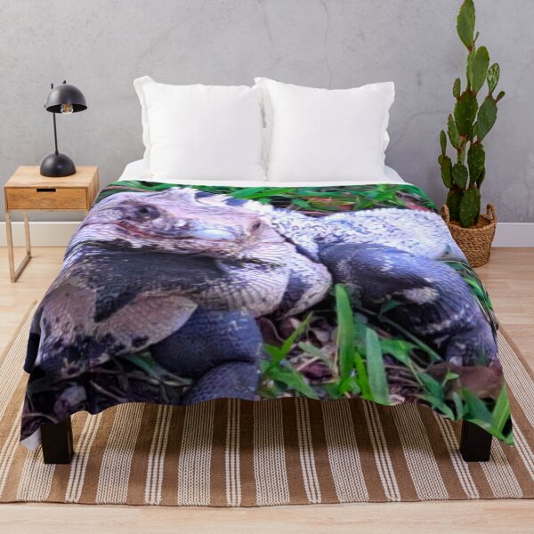 Item preview, Get Up Close and Personal with a Mexican Iguana designed and sold by PhotografeeMrsB.