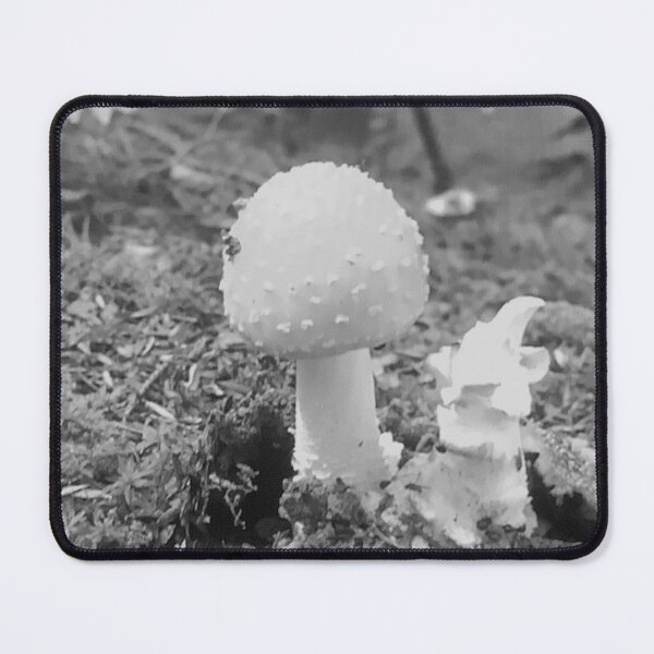 Item preview, Black and White Mushroom Photograph - Art designed and sold by jolabrese.