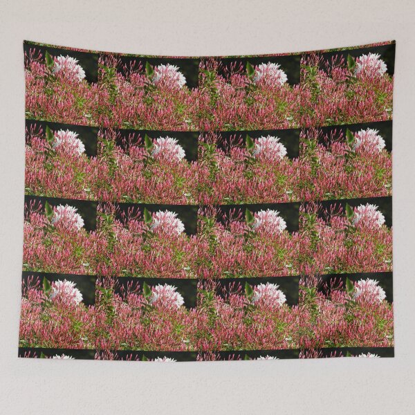 Item preview, Jasmine in Bloom designed and sold by EurekaRoad.