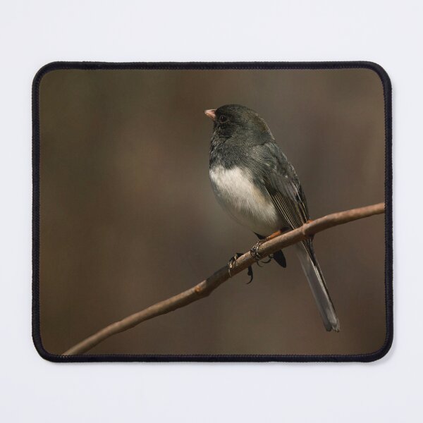 Item preview, Junco bird portrait designed and sold by KRFNatureGifts.