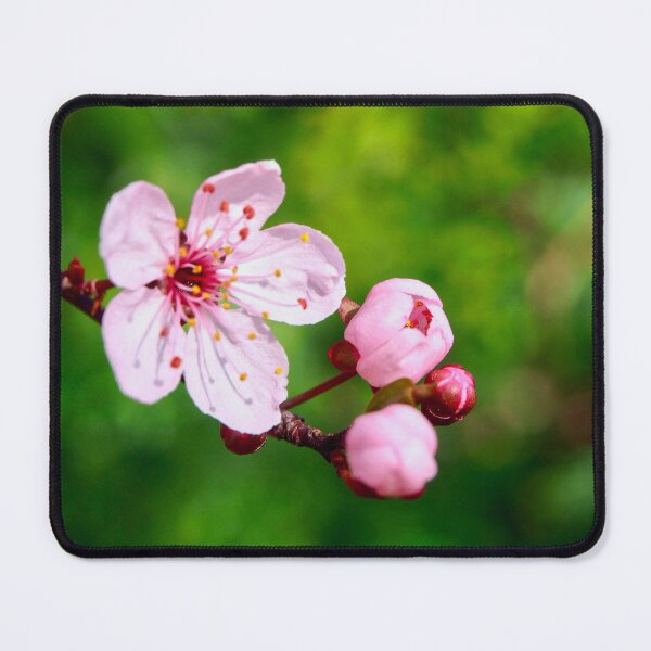 Item preview, Spring Begins designed and sold by heartshot-photo.