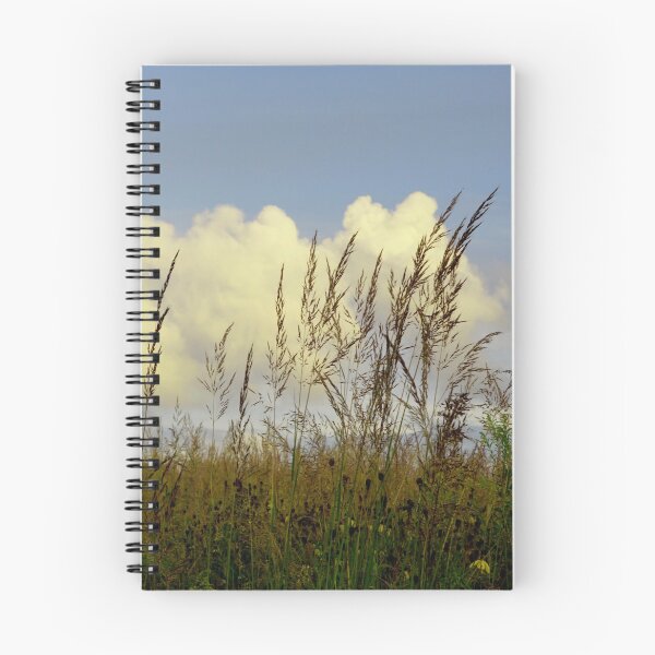 Artikelvorschau, Prairie Wolke entworfen und verkauft von StudebakerAcres.
