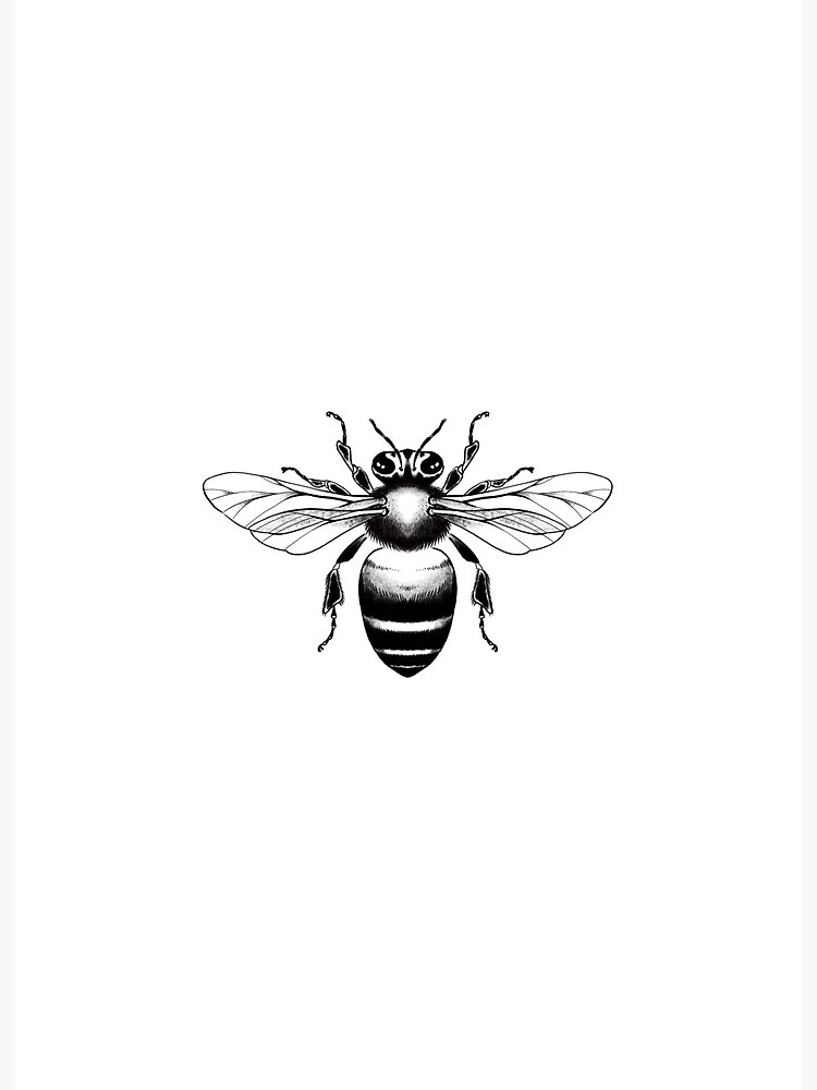 Bee with patterns black white with ornaments Vector Image