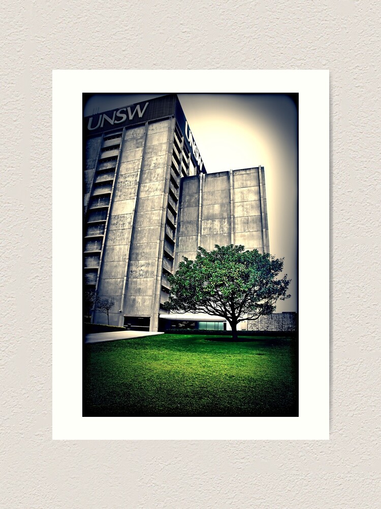Alternate view of Library. UNSW Art Print