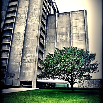 Artwork thumbnail, Library. UNSW by andreisky