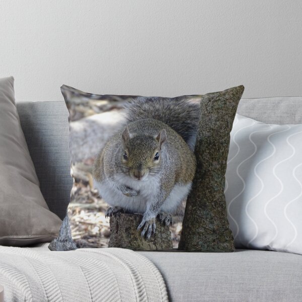 Item preview, Cute Squirrel #0101 designed and sold by Jeffrey Mask.