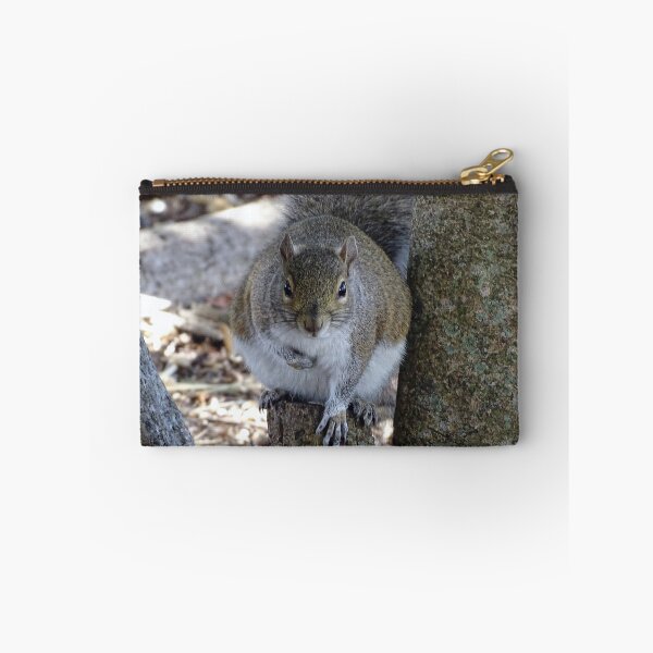 Item preview, Cute Squirrel #0101 designed and sold by Jeffrey Mask.