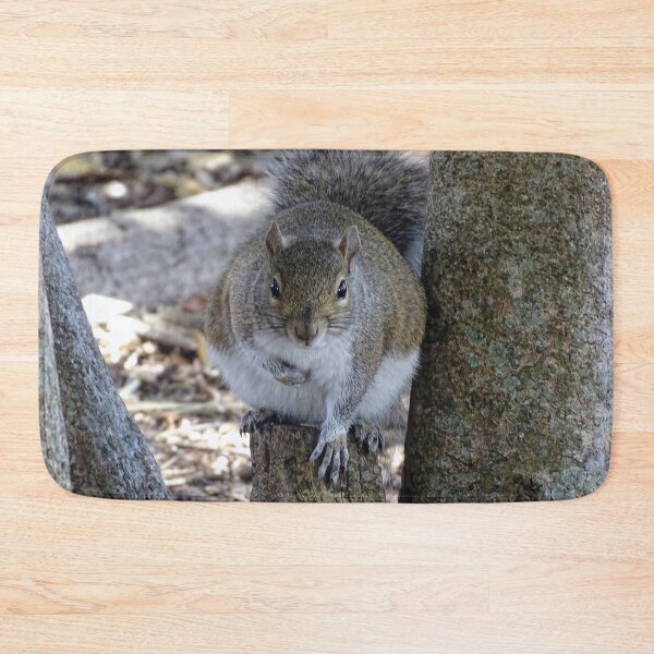 Item preview, Cute Squirrel #0101 designed and sold by Jeffrey Mask.
