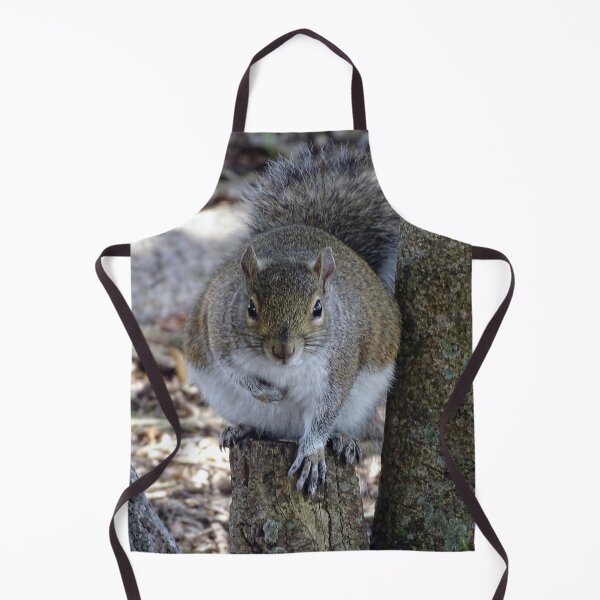 Item preview, Cute Squirrel #0101 designed and sold by Jeffrey Mask.