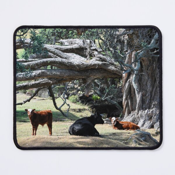Item preview, New Zealand - Coromandel Peninsula designed and sold by franck380.