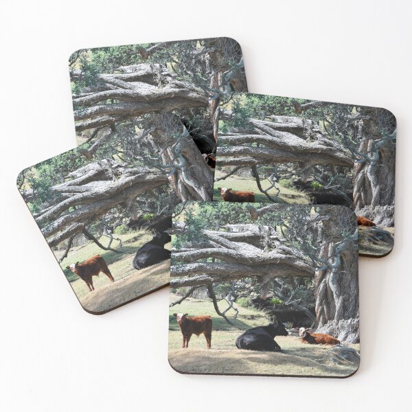 Item preview, New Zealand - Coromandel Peninsula designed and sold by franck380.