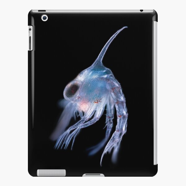 Crustacean planktonic larva iPad Snap Case