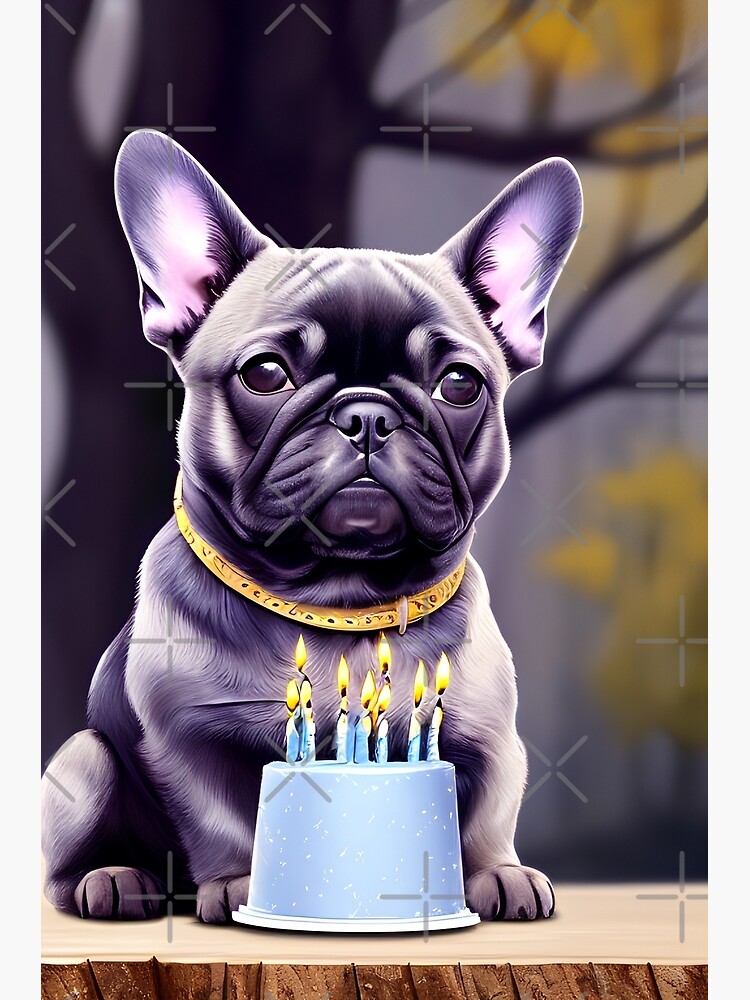 Georgia Bulldog Birthday Cake | Mary Griffis | Flickr