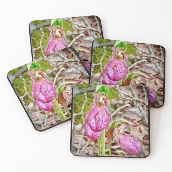 Item preview, Lady Slippers designed and sold by Tlpphotos.