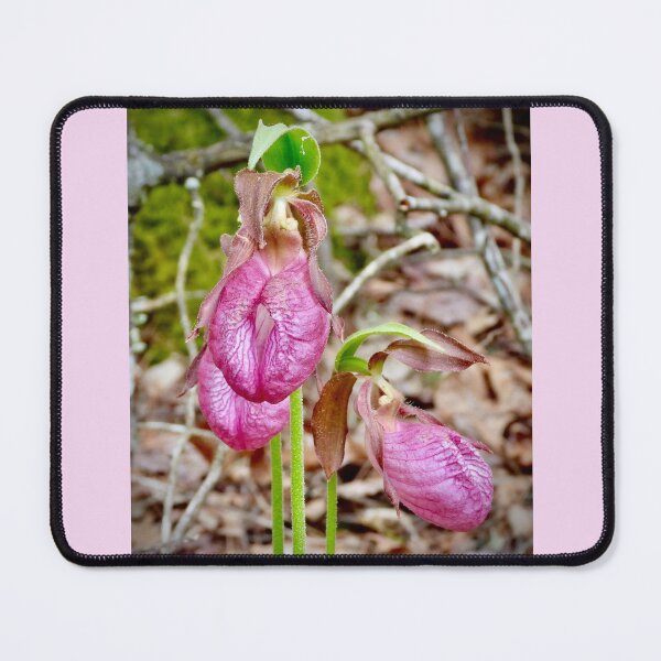 Item preview, Lady Slippers designed and sold by Tlpphotos.