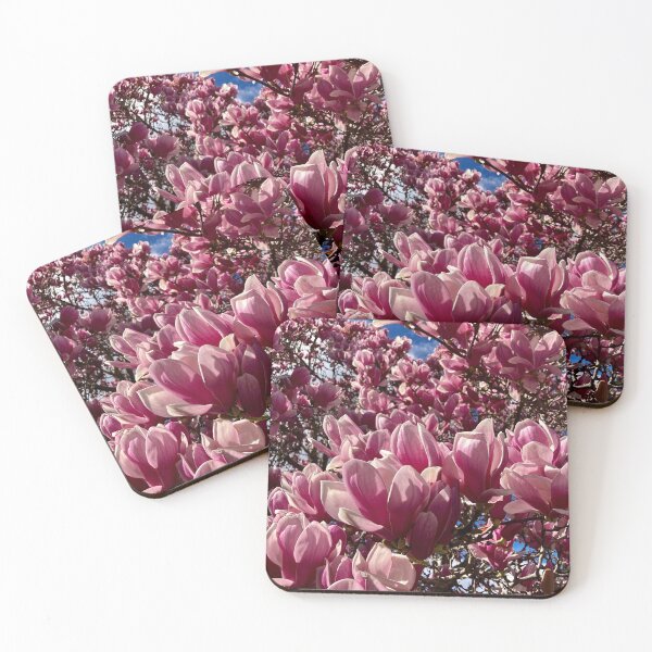Item preview, Magnolia blooms. designed and sold by Tanyateo.